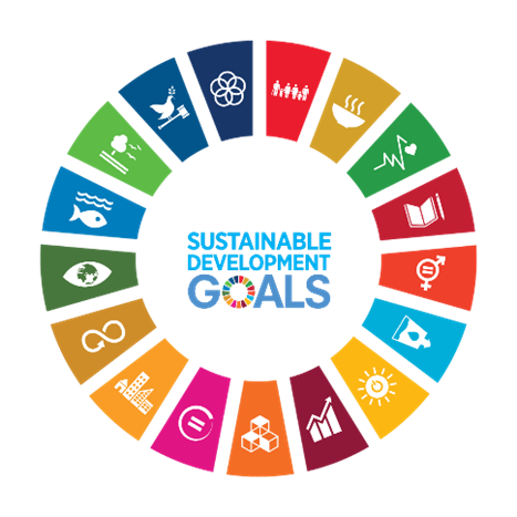 United Nations Sustainable Development Goals